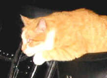 Click Here For Full Size Image