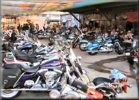 Stroker's Icehouse was Rockin' on New Year's Day!